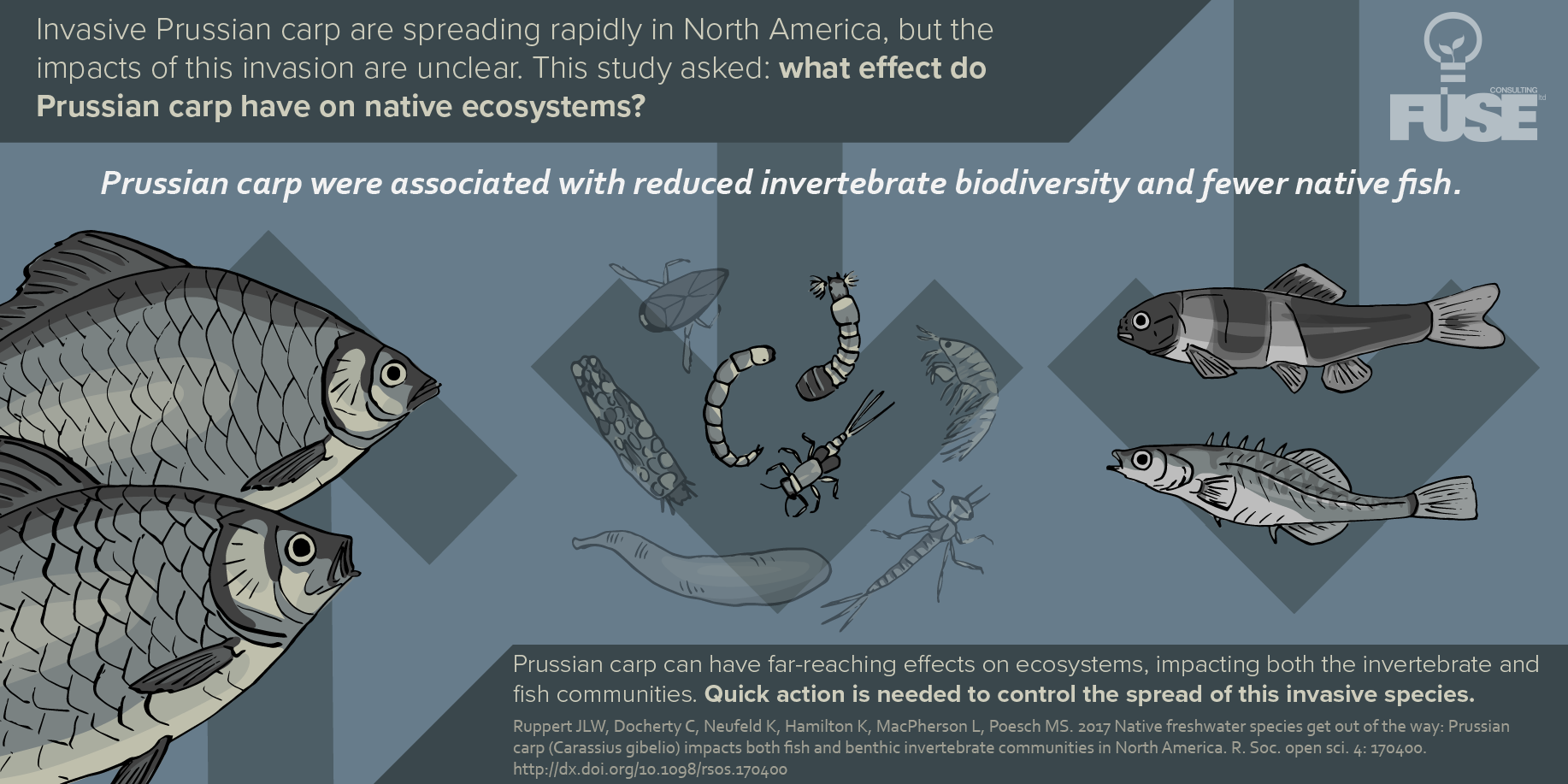 Invasive Species Archives