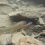 Pallard J., Jardine, T. and M. S. Poesch. (In Press) Altered resource use by threaten Bull Trout (Salvelinus confluentus) amid competition from two non-native salmonids. Journal of Fish Biology.