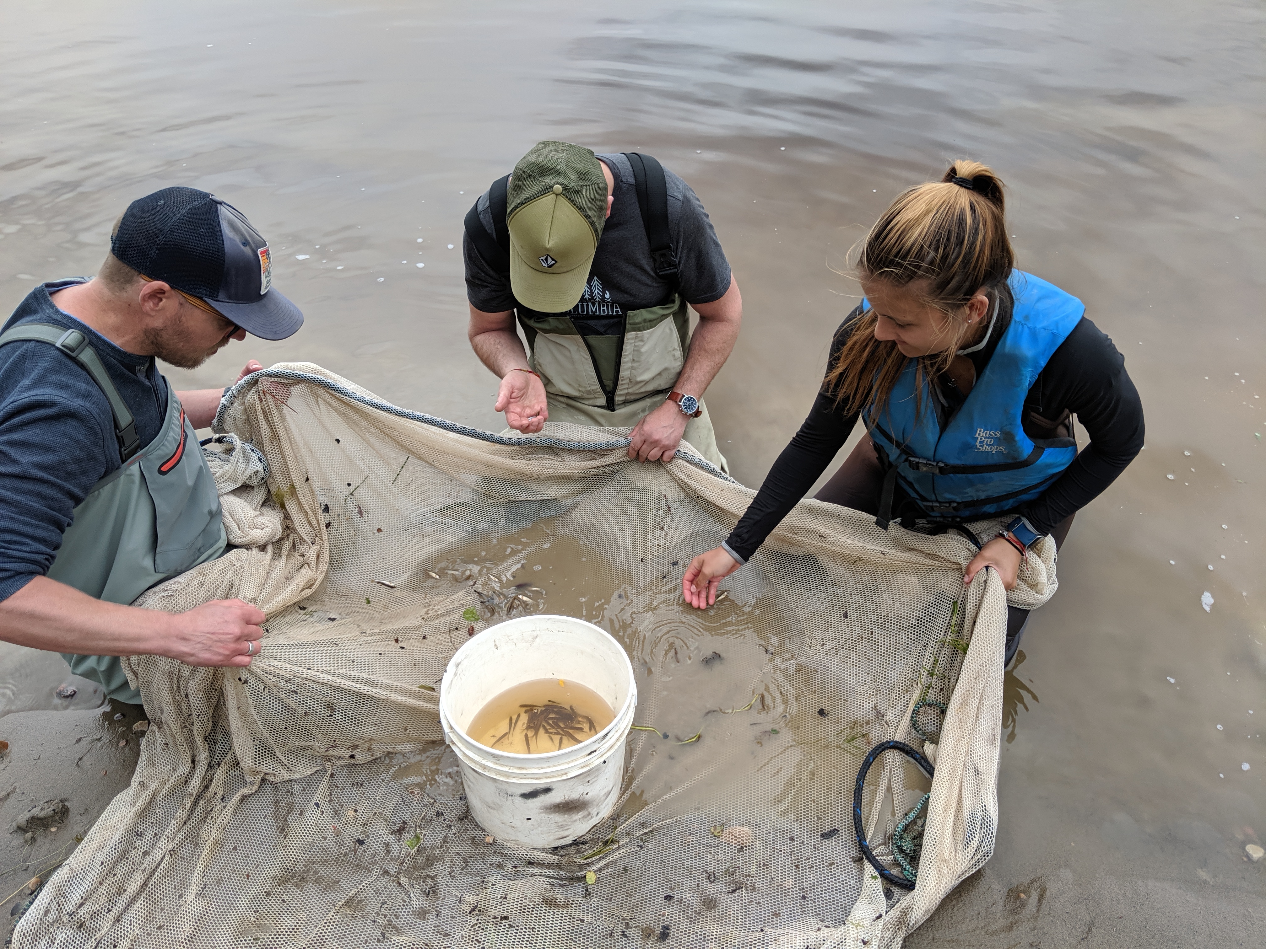 FIELDWORK PHOTO: choose original team sampling photograph